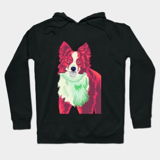 A splash of colour- Border Collie edition Hoodie